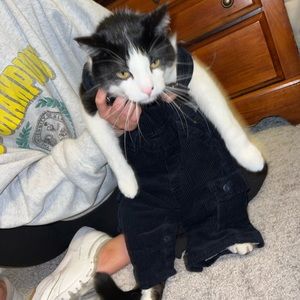 Cat in Corduroy Overalls